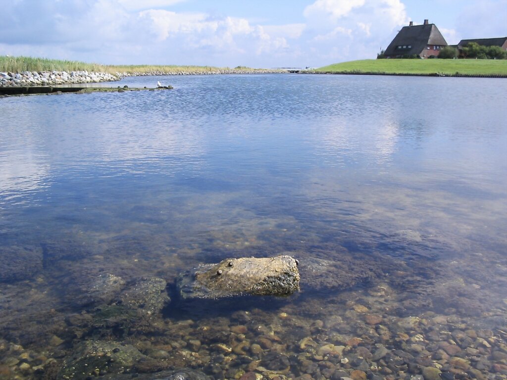 Zu Besuch auf der Hallig Hooge