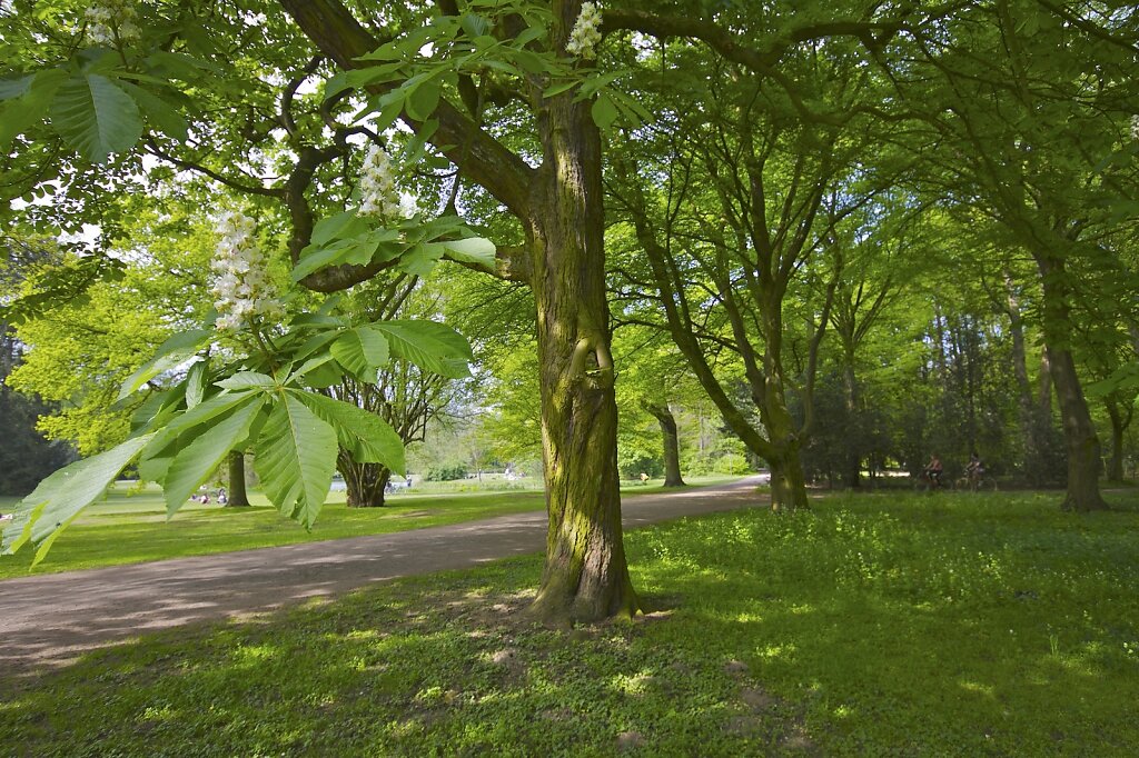 Bürgerpark & Stadtwald Bremen