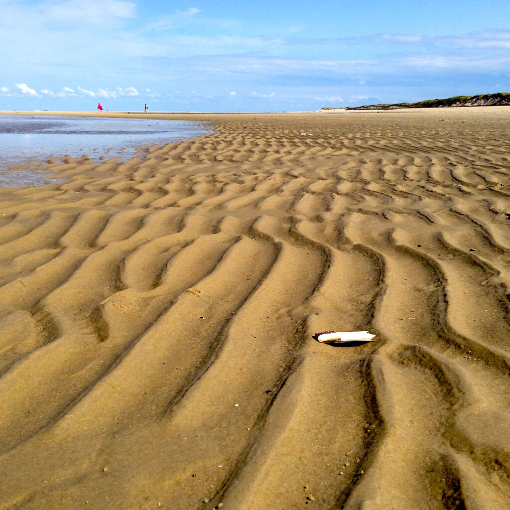 Ebbe am Oststrand