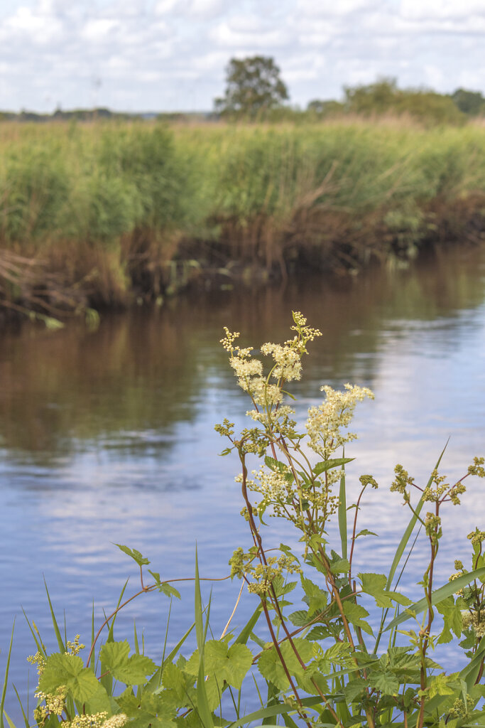 Sommer an der Wümme