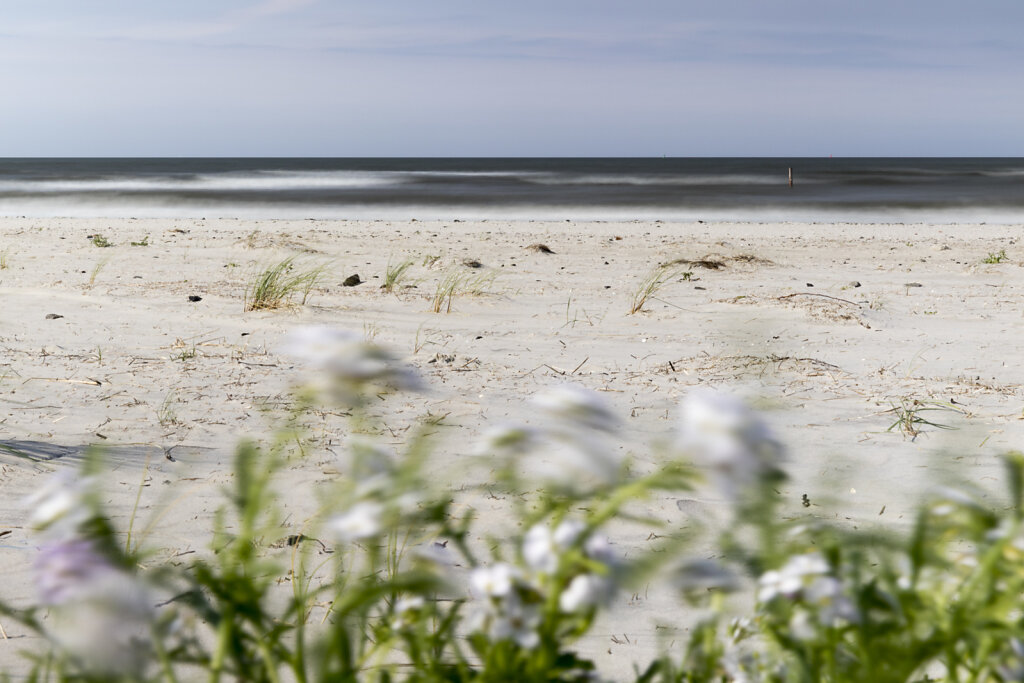 Alles in Bewegung 1